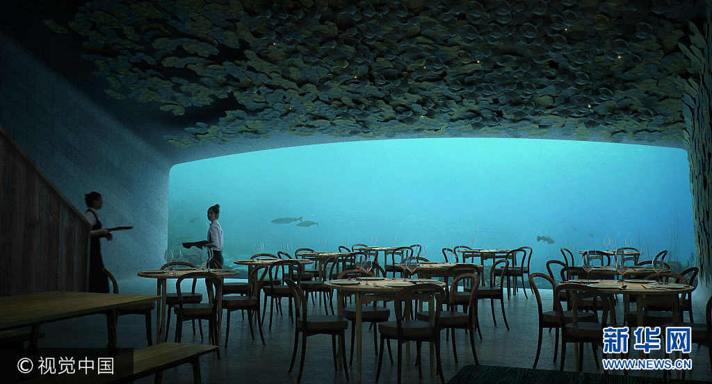 去不了海底两万里 至少可以去欧洲首家海底餐厅约会