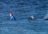 世界冲浪冠军比赛中遭鲨鱼袭击全程