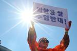 韩农民举行集会反对大米市场自由化