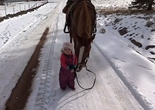 美女童雪地牵马被缰绳绕腿 马儿驻足等候
