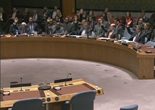 联合国安理会一致通过打击IS决议