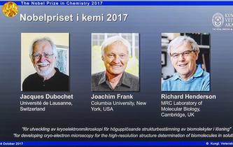 瑞士、美国和英国科学家分享2017年诺贝尔化学奖