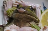 日本餐厅生吃活剥牛蛙 被批太残忍(组图)