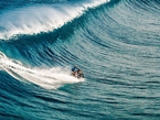 澳特技车手骑摩托海上冲浪惊险刺激【高清组图】