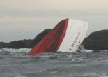 加拿大观鲸船翻沉 至少5人死亡（组图）