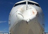 一只大鸟在空客A319飞机降落时与其碰撞 留下大洞
