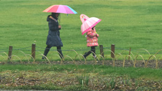 杭州迎来立春后的第一场雨