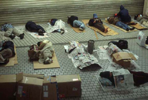实拍日本地铁站流浪者生活：纸箱为家秩序井然