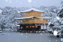 日本旅游·京都巡礼：金碧辉煌的金阁寺