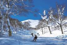 春节出游——日本滑雪场盘点 总有一款适合你