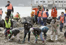海啸四周年：日本志愿者仍在寻找遇难者遗体(组图)