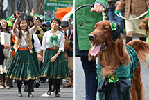 日本上千民众盛装游行 庆祝圣帕特里克节(组图)