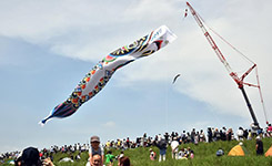 日本埼玉县展出100米长鲤鱼旗 迎接儿童节