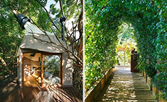 日本建筑师的豪华树屋