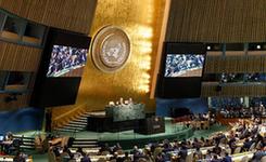 埃及等5国当选联合国非常任理事国（组图）