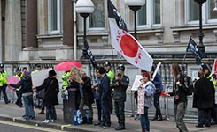 英民众抗议日屠杀海豚